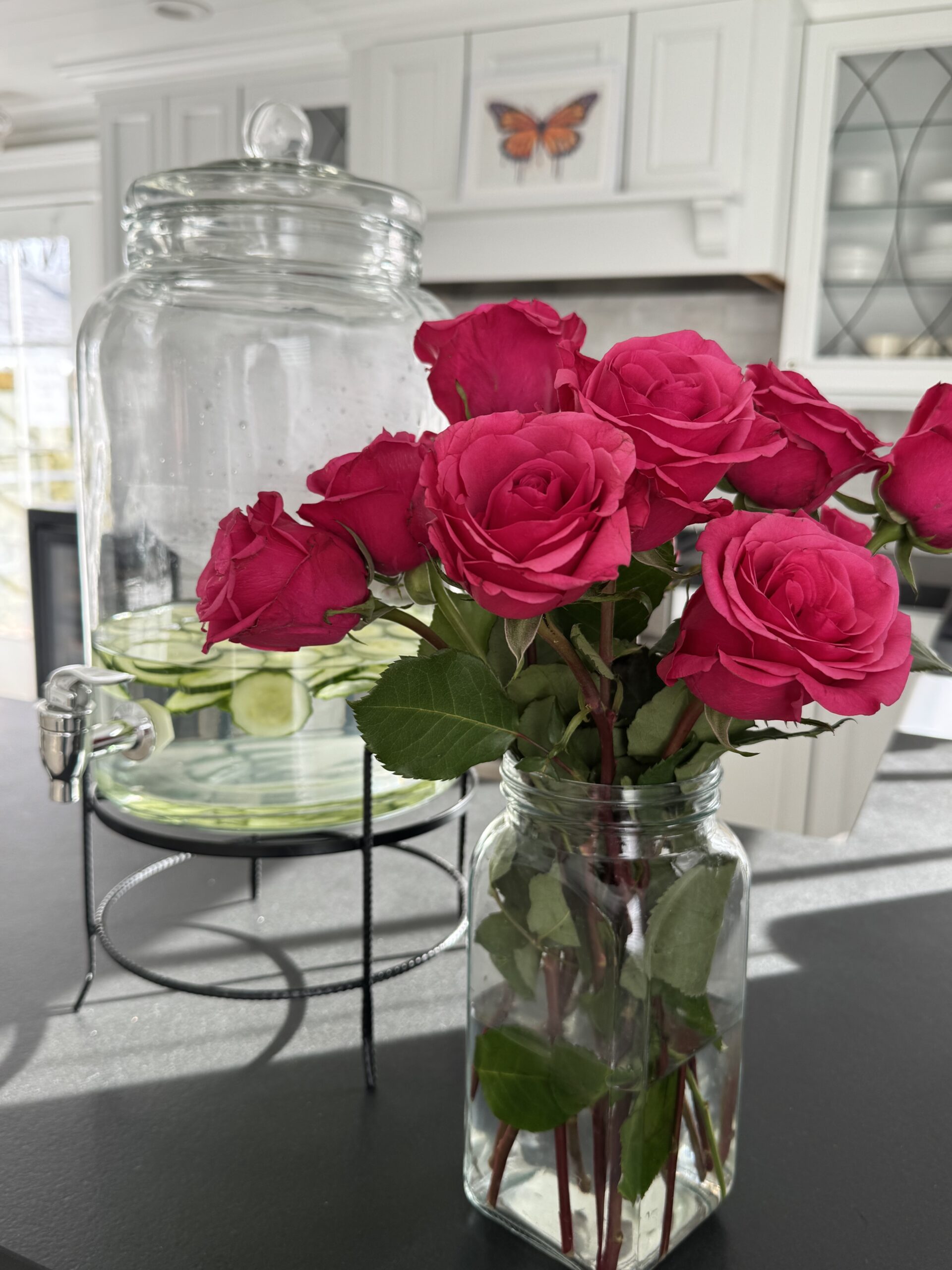 Your journey toward wellness starts here